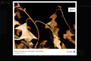 Lightbox2.0Demo_thumb